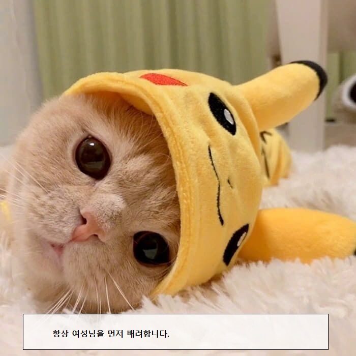 천연아로마오일
