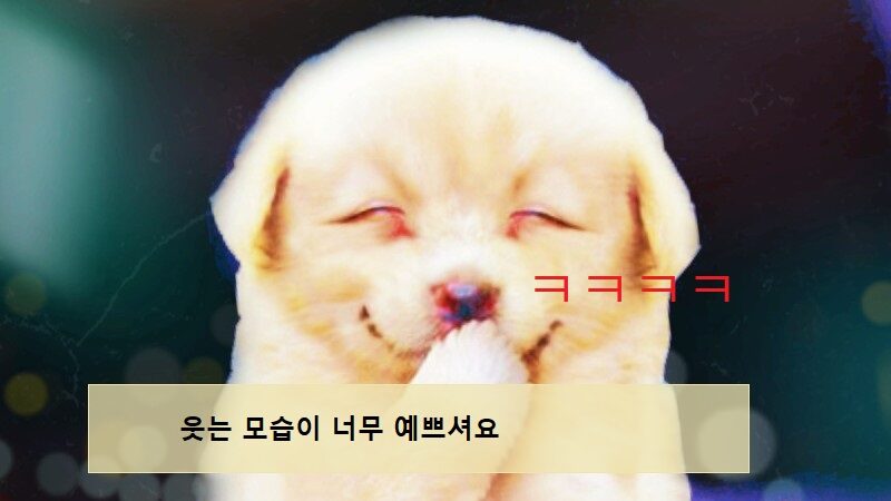 마사지오일 기분이좋다는