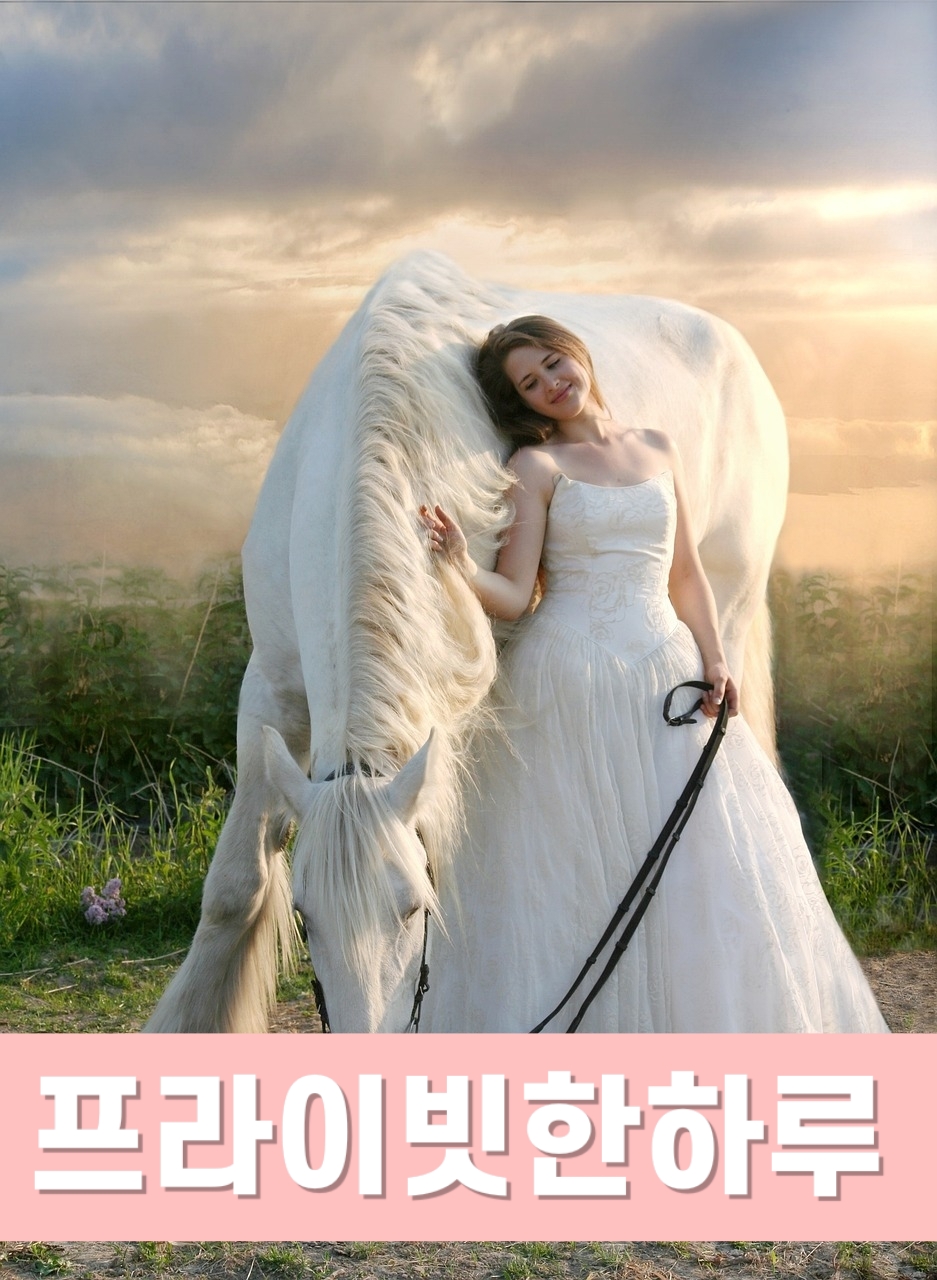 스트레스해소