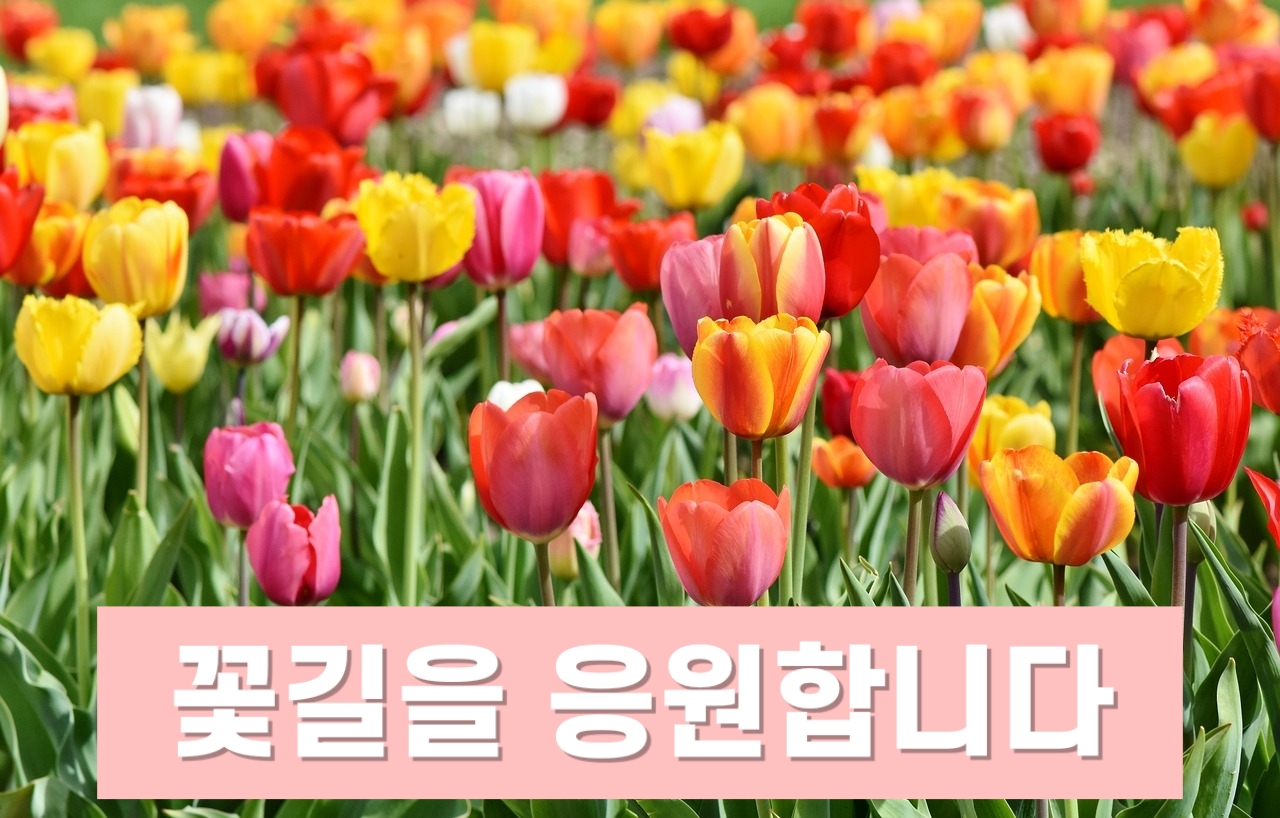 꽃길