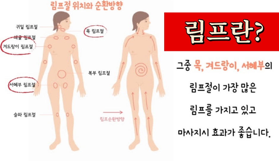 림프마사지효과